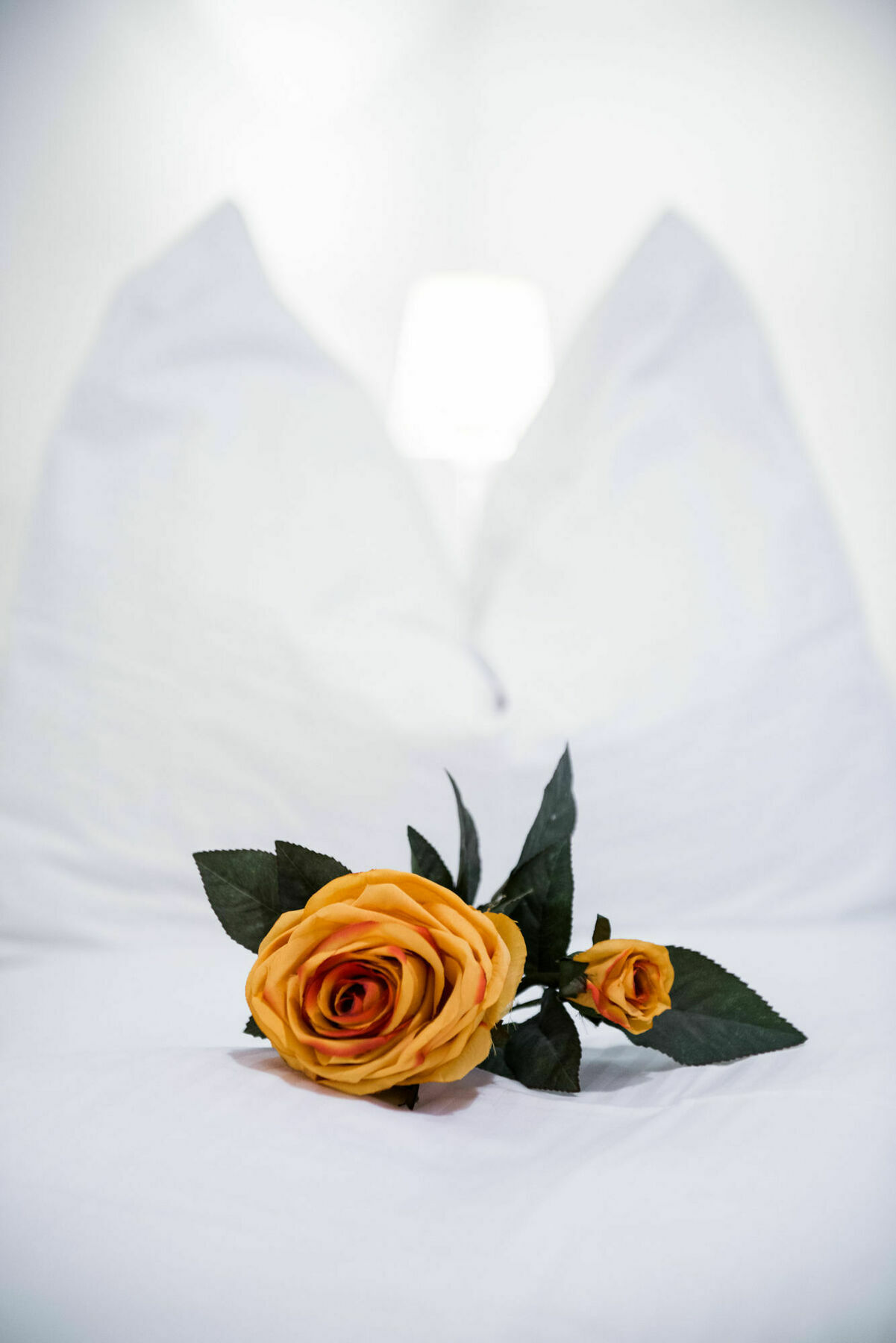 Vienna Apartment Stadtpark エクステリア 写真